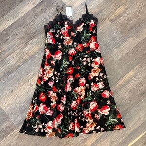 Foxiedox Floral Lace Mini Dress in Black and Red